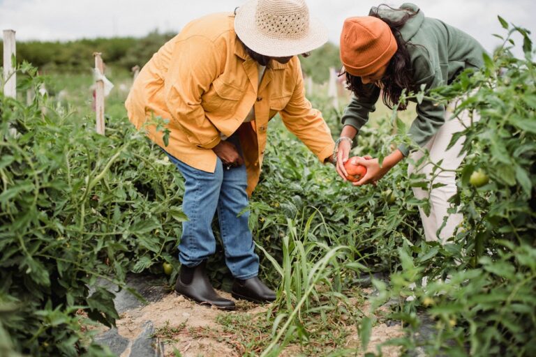 Ensuring Safety in Home Gardening: A Comprehensive Guide to Tools and Equipment